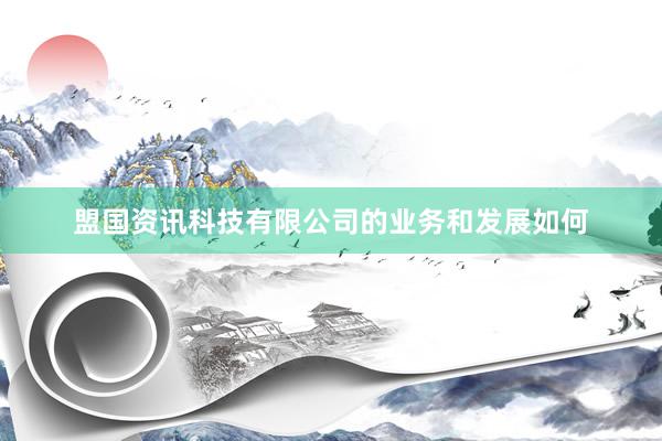 盟国资讯科技有限公司的业务和发展如何