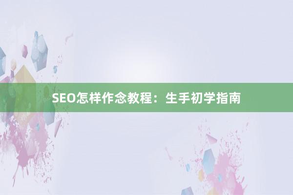 SEO怎样作念教程：生手初学指南