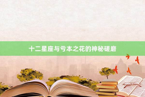 十二星座与亏本之花的神秘磋磨
